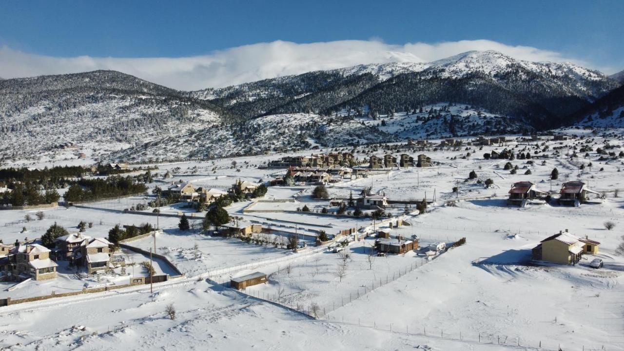 Chalet Renata 1 Livadi Arachovas Kalívia Kültér fotó
